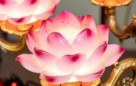 Đèn thờ hoa sen đẹp: Mẫu cao cấp, ý nghĩa phong thủy và cách chọn chuẩn
