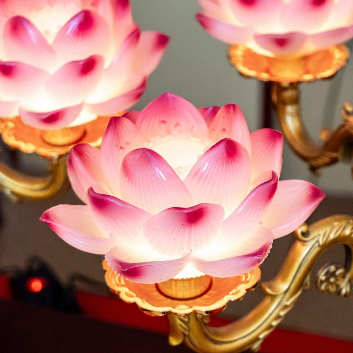 den-tho-hoa-sen